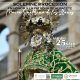 Cartel Procesión sin Itinerario 24